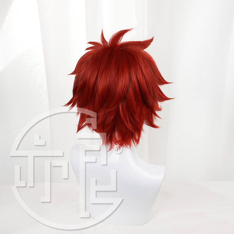 Anime SK8 the Infinity Reki Co - Anime Cosplay Red Hair 评论和价格