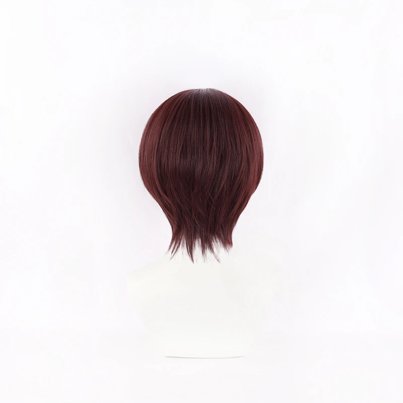 Anime WIND BREAKER Hayato Suo  - Anime Cosplay Red Hair 评论和价格