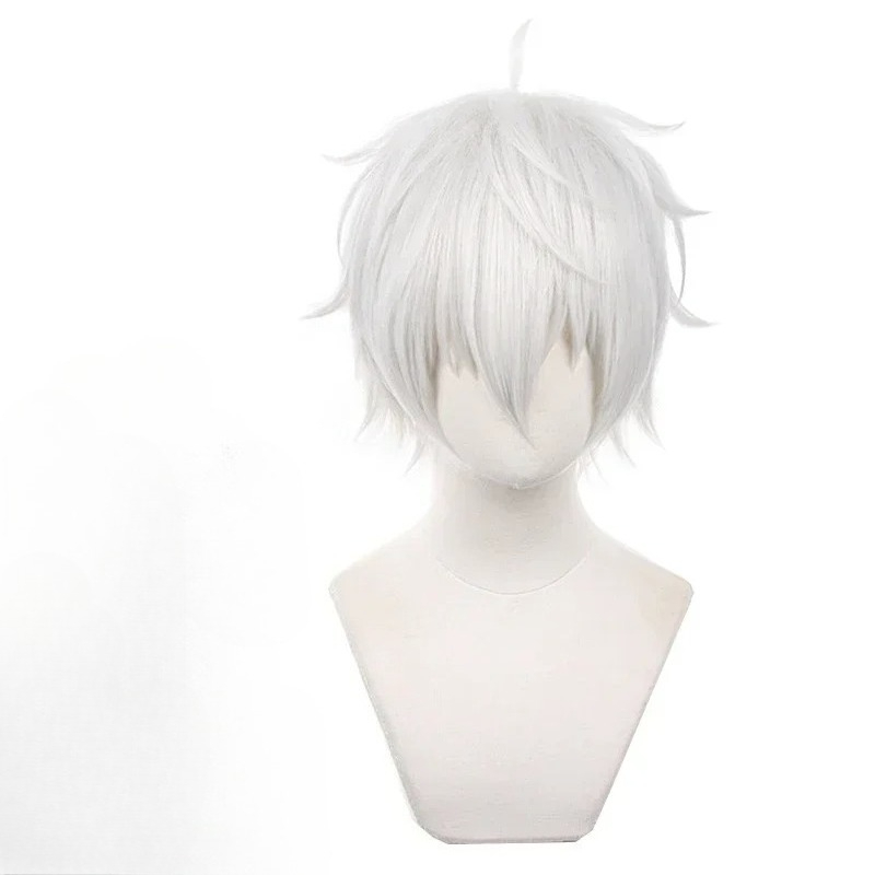 Anime Seishiro Nagi Cosplay Wi - Cosplay Anime White Hair 评论和价格