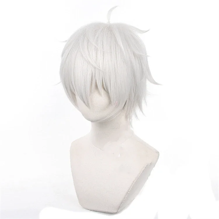 Anime Seishiro Nagi Cosplay Wi - Cosplay Anime White Hair 评论和价格