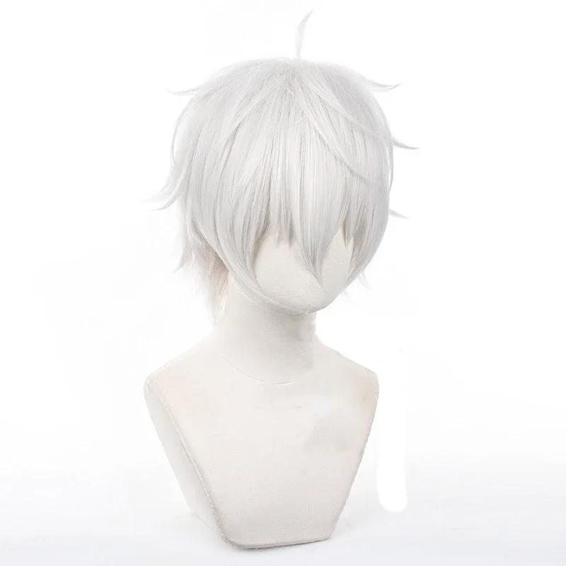 Anime Seishiro Nagi Cosplay Wi - Cosplay Anime White Hair 评论和价格