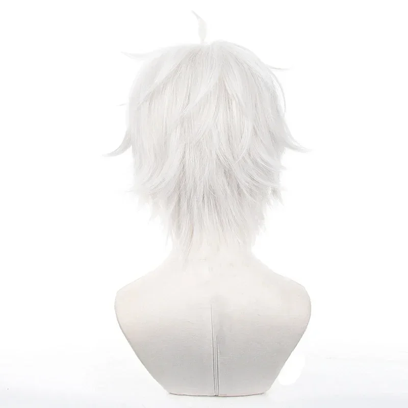 Anime Seishiro Nagi Cosplay Wi - Cosplay Anime White Hair 评论和价格