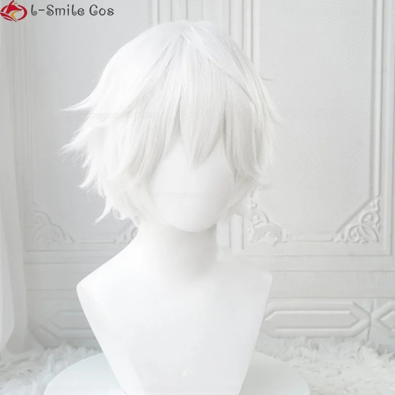xiaoxiao Anime Killua Zoldyck  - Cosplay Anime White Hair 评论和价格