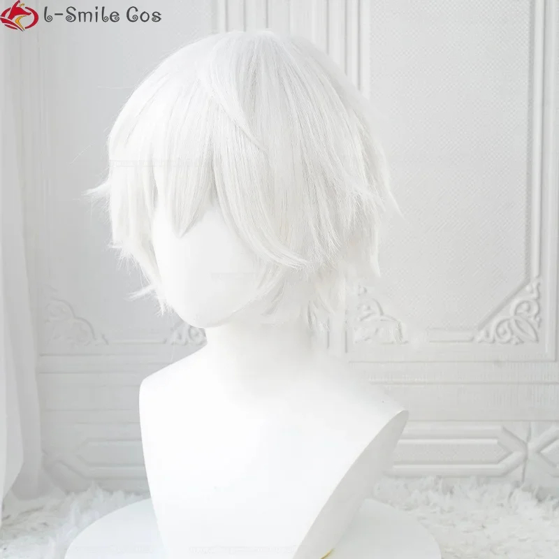 xiaoxiao Anime Killua Zoldyck  - Cosplay Anime White Hair 评论和价格