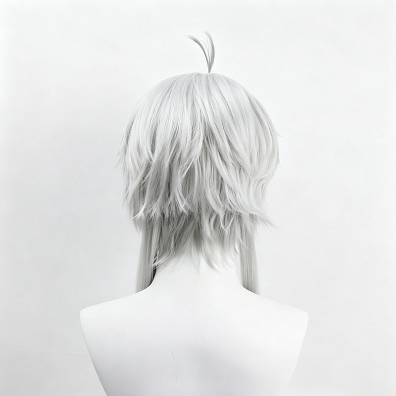 Anime Sylphiette Cosplay Wig G - Cosplay Anime White Hair 评论和价格