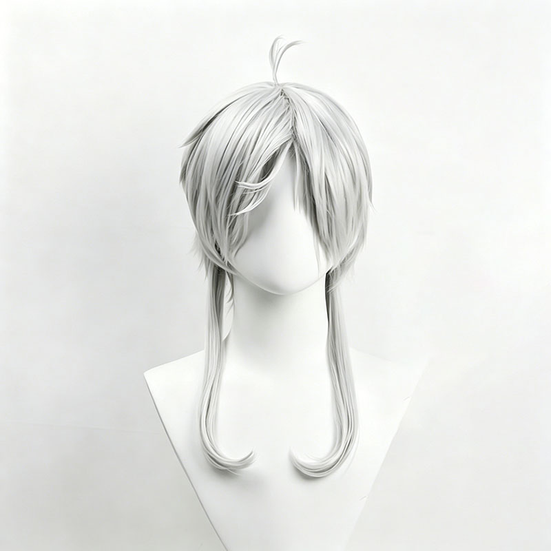 Anime Sylphiette Cosplay Wig G - Cosplay Anime White Hair 评论和价格