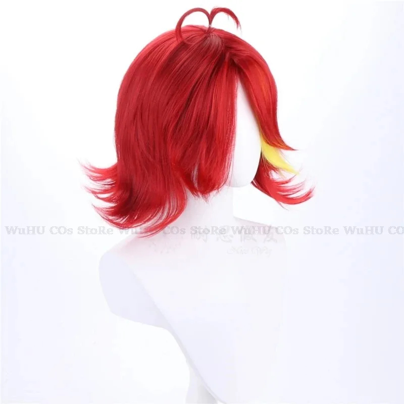 2025 hasbin Cos Niffty Wig Ani - Anime Cosplay Red Hair 评论和价格